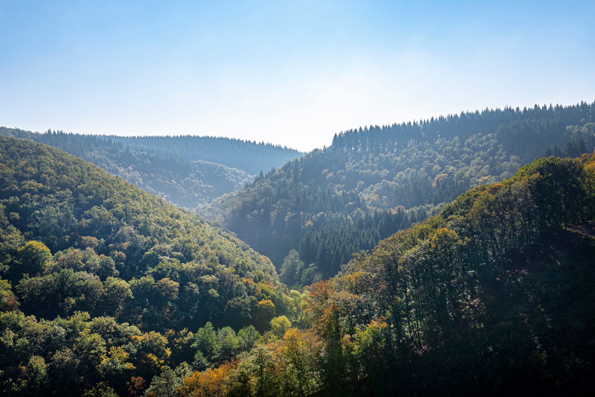 Germany Holiday Deals: Tours with Driver & Guided Travel Packages