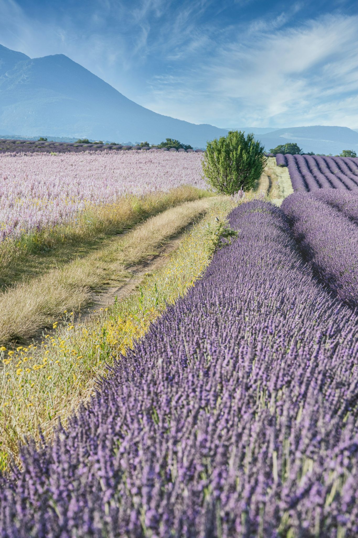 Luxury Places in France Every Traveler Must Visit
