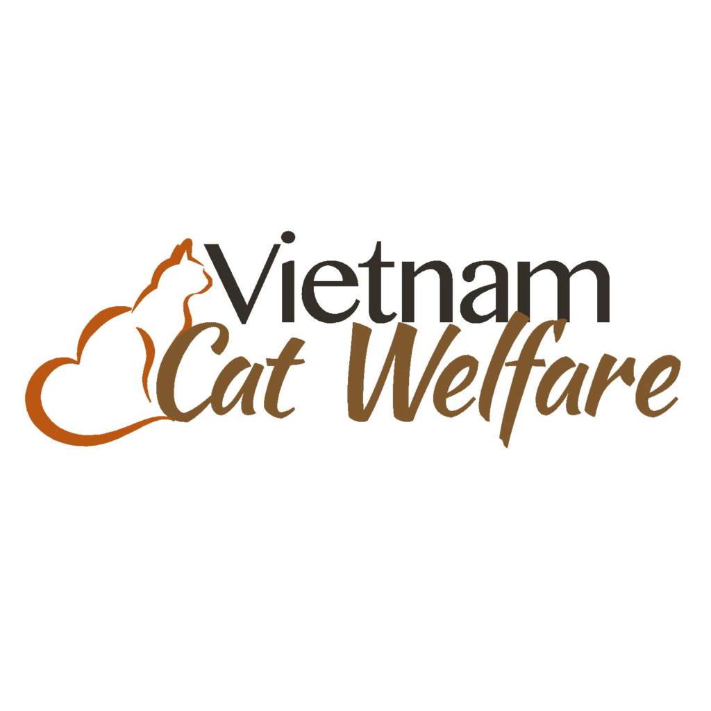 Local Charities Worldwide - Animals Charity Partner | Vietnam Cat Welfare