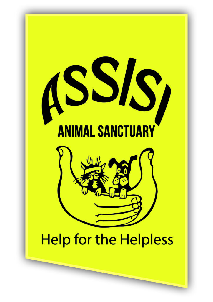 Local Charities Worldwide Charity Profile | Assisi Animal sanctuary in Ireland