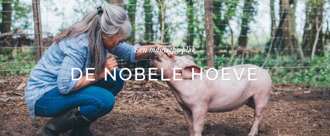 Local Charities Worldwide | Animal Charity Profile De Nobele Hoeve in Brabant, the Netherlands