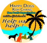 Animals Charity, dogs, strays, thailand