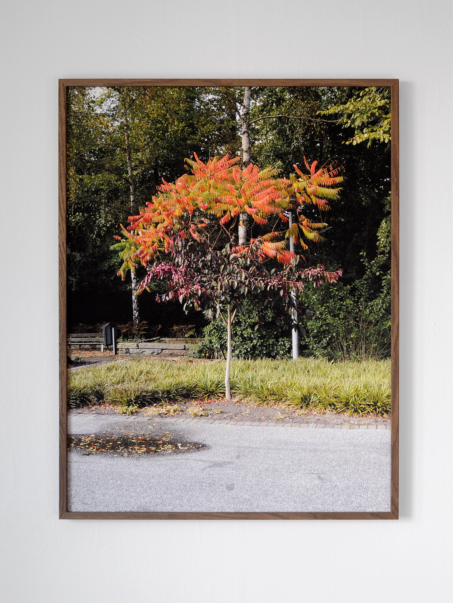 Tree in Tree (nl01)