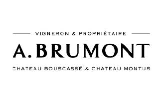 Logo Brumont vigneron. Château Bouscassé, vhateau Montus