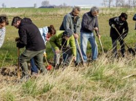 heb-jij-een-idee-voor-een-lokaal-project-rond-natuur-en-klimaat-in-knokke-heist? 