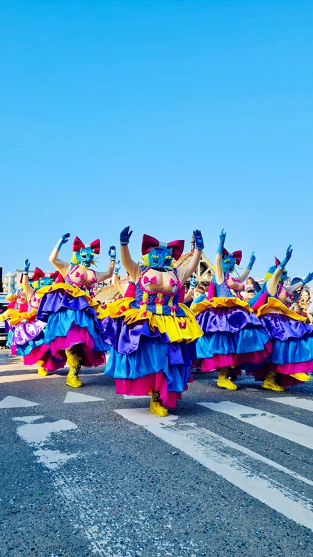 uitslag-groepen-en-wagens-carnavalsstoet-2025