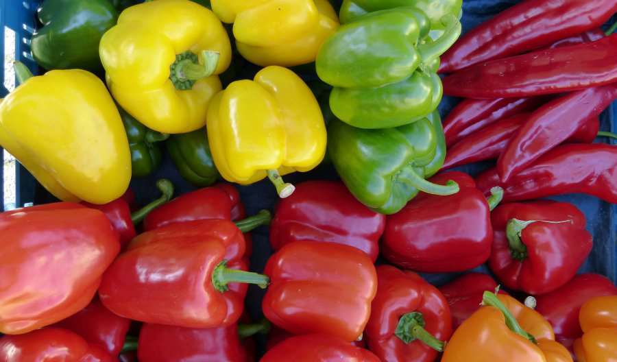 Overleg met marktkramers Lissewege leidt tot oplossing in Koolkerke