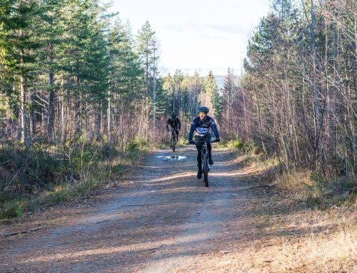 Cykla i Järvsö