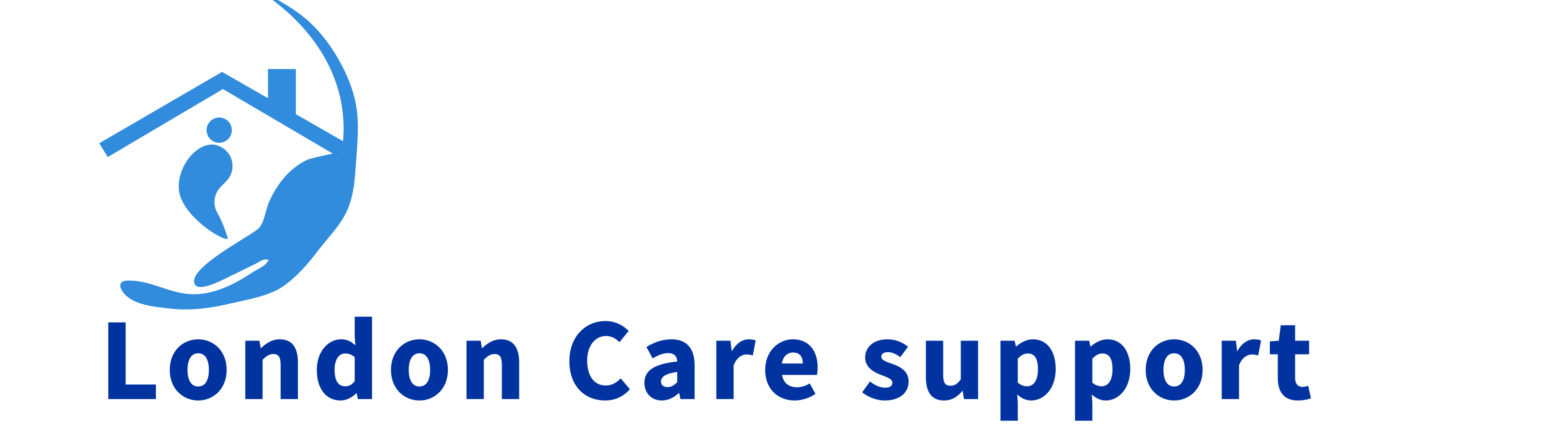 London Care Support