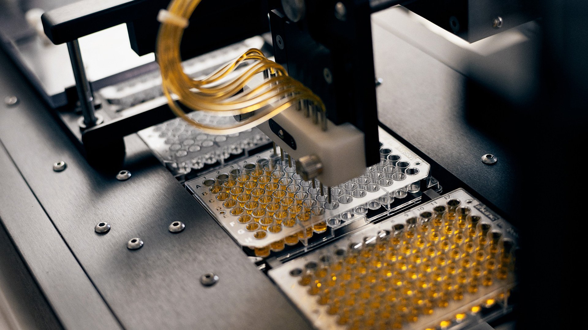 Indical Bioscience still image of production by LOOP Associates