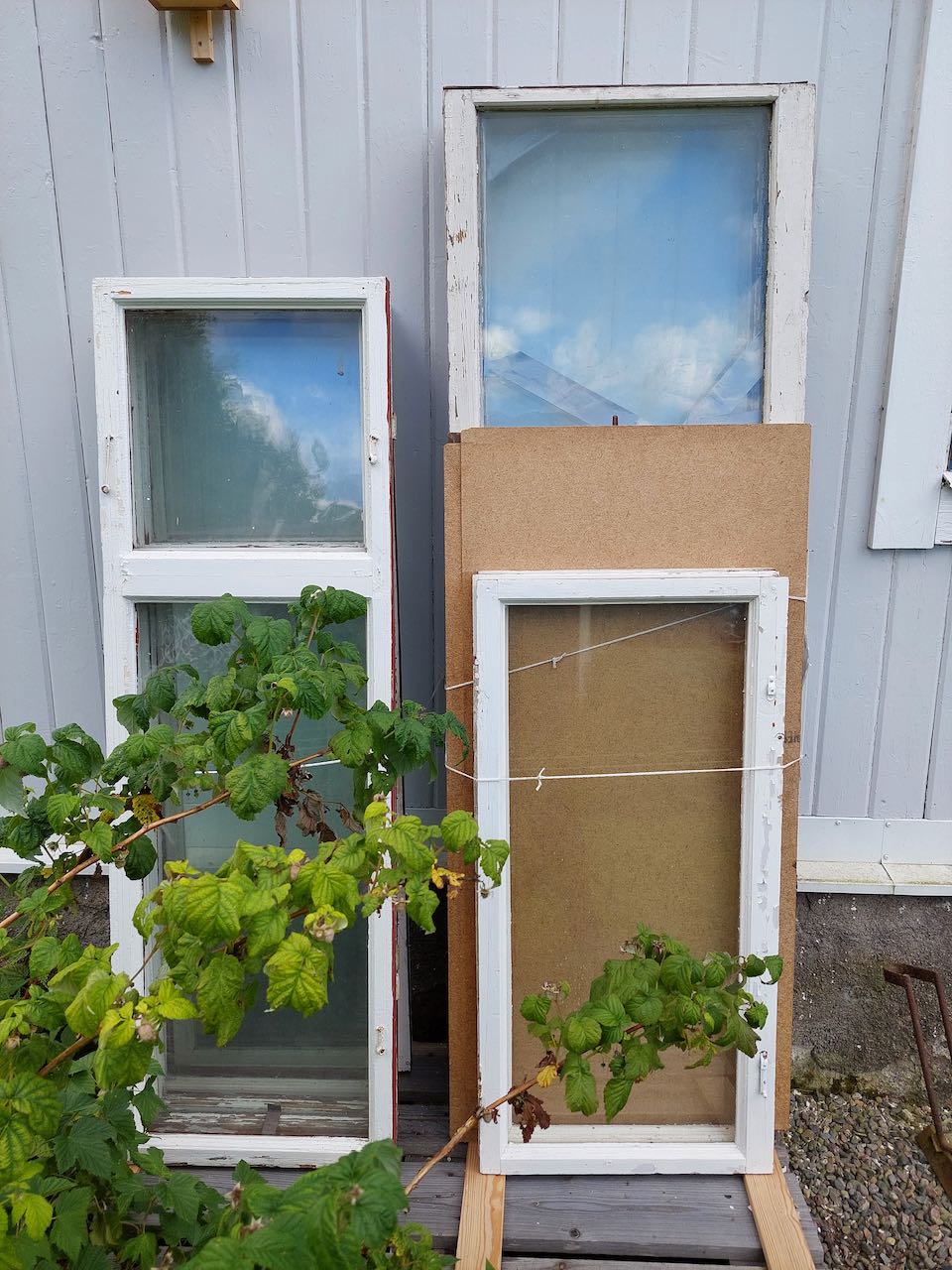 Glas Fönster