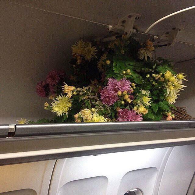 A gift from a vacation in Crimea, 2015 (flowers in the airplane's hold)