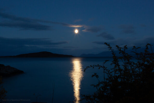 The almost-full moon, shining like a small sun in an otherwise deeply blue evening.