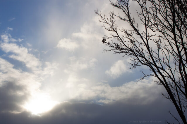 The early winter sun, partially behind clouds, and a naked tree in the foreground.