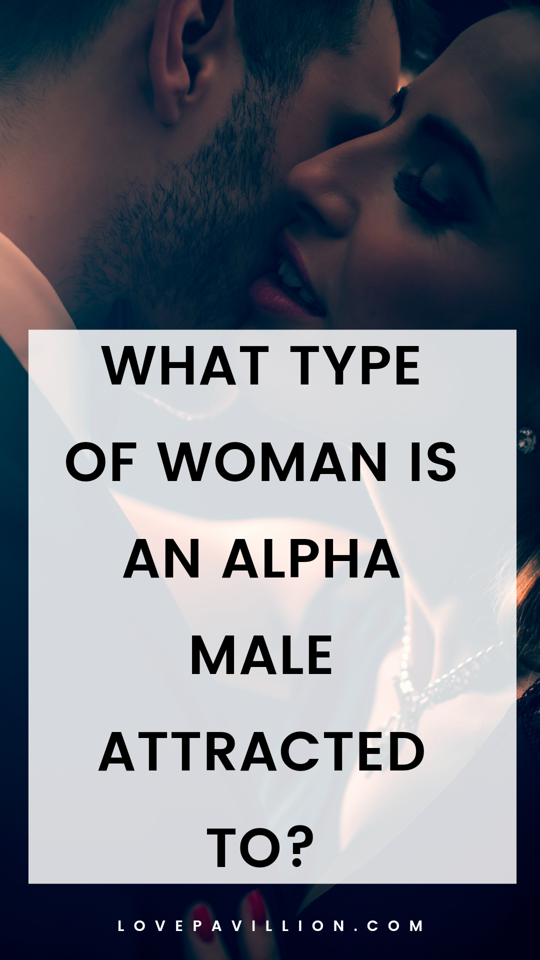 What type of woman is an alpha male attracted to