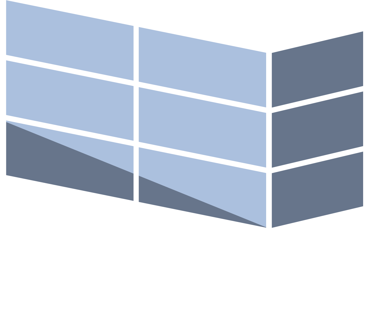 LS Service Vinduepolering ApS
