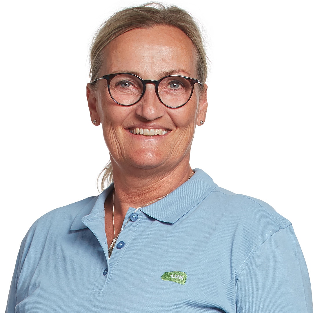 LVK-Lise-Linnet
