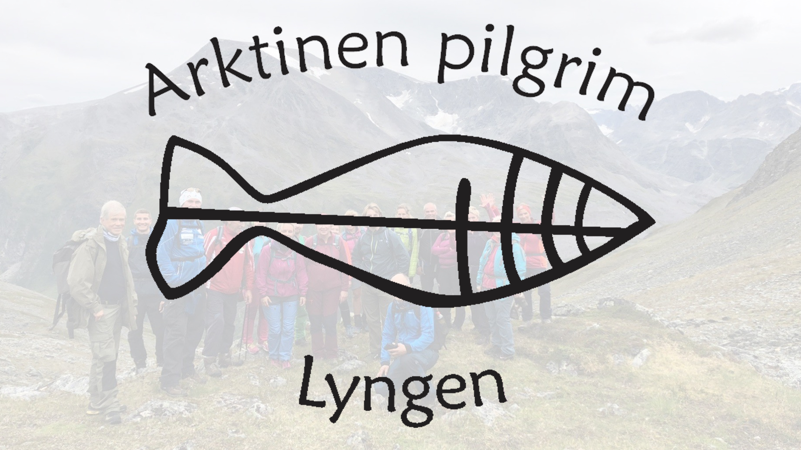 Arktinen pilgrim Lyngen