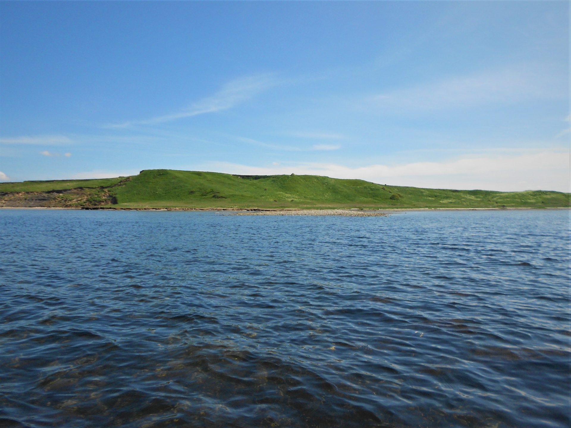 Foråret ved Limfjorden byder på spændende lystfiskeri.