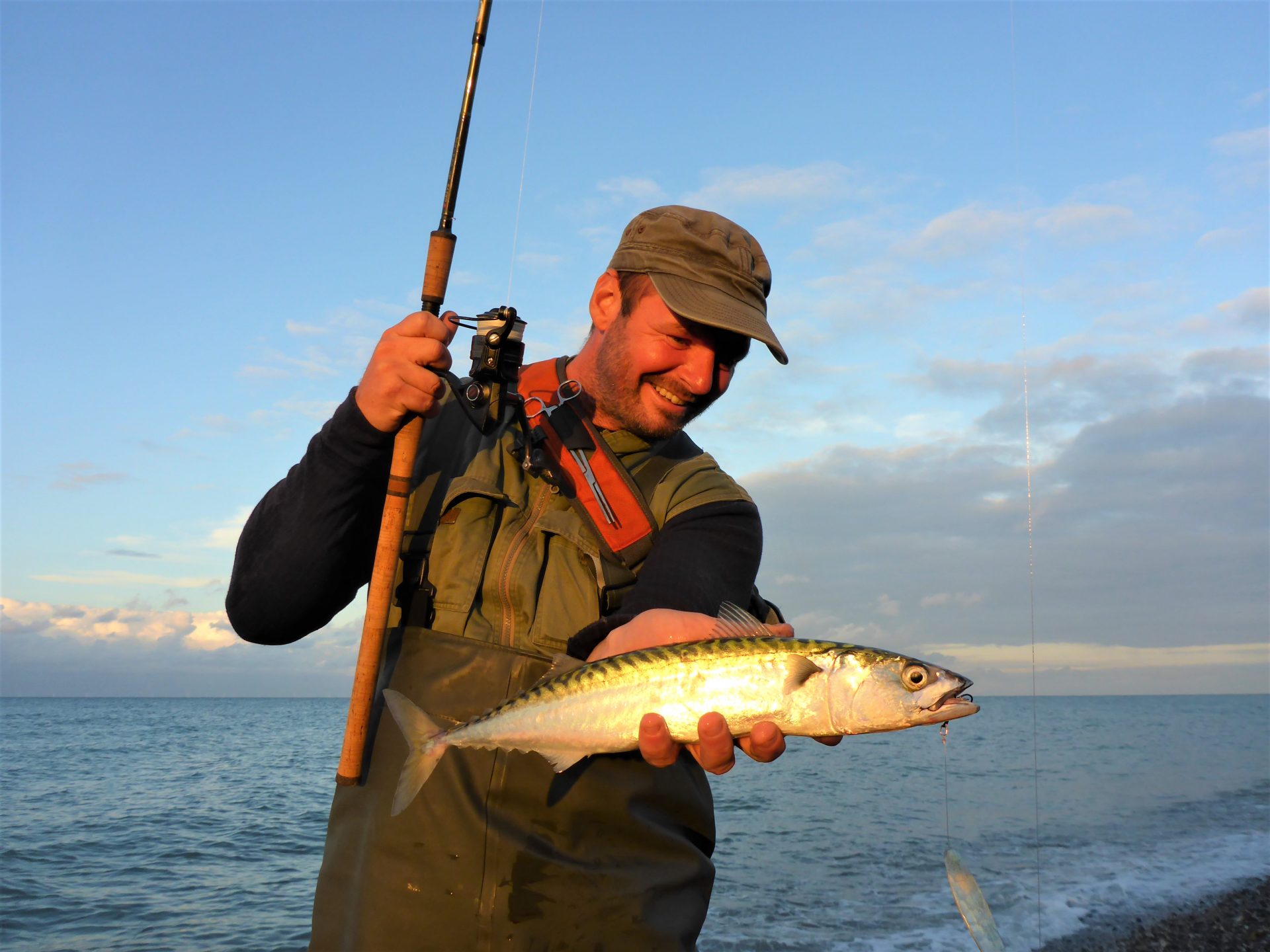 Lystfiskeri efter makrel i Limfjorden kan gøres om sommeren.