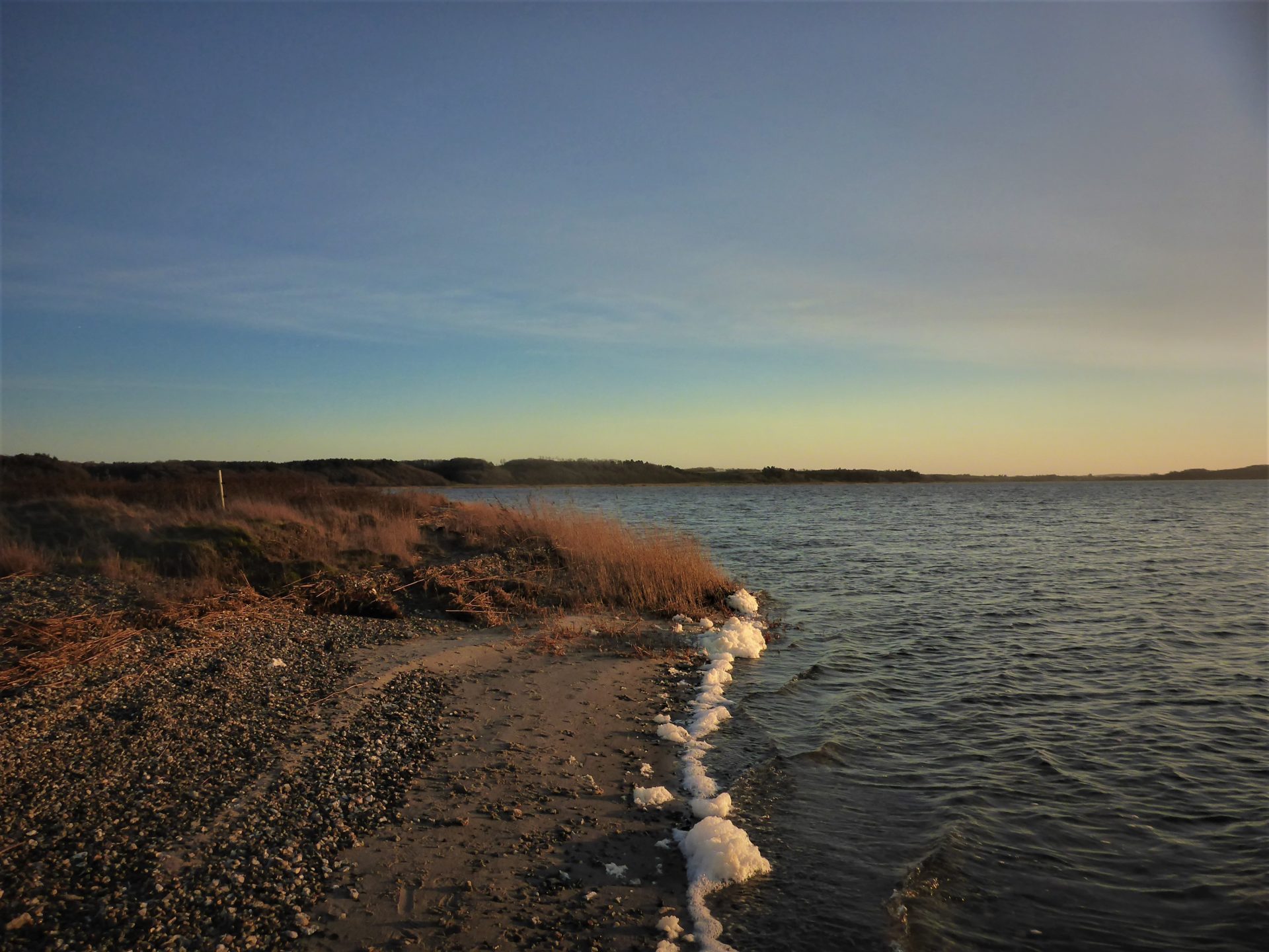 Navet er en god fiskeplads i Limfjorden til fangst af havørreder.