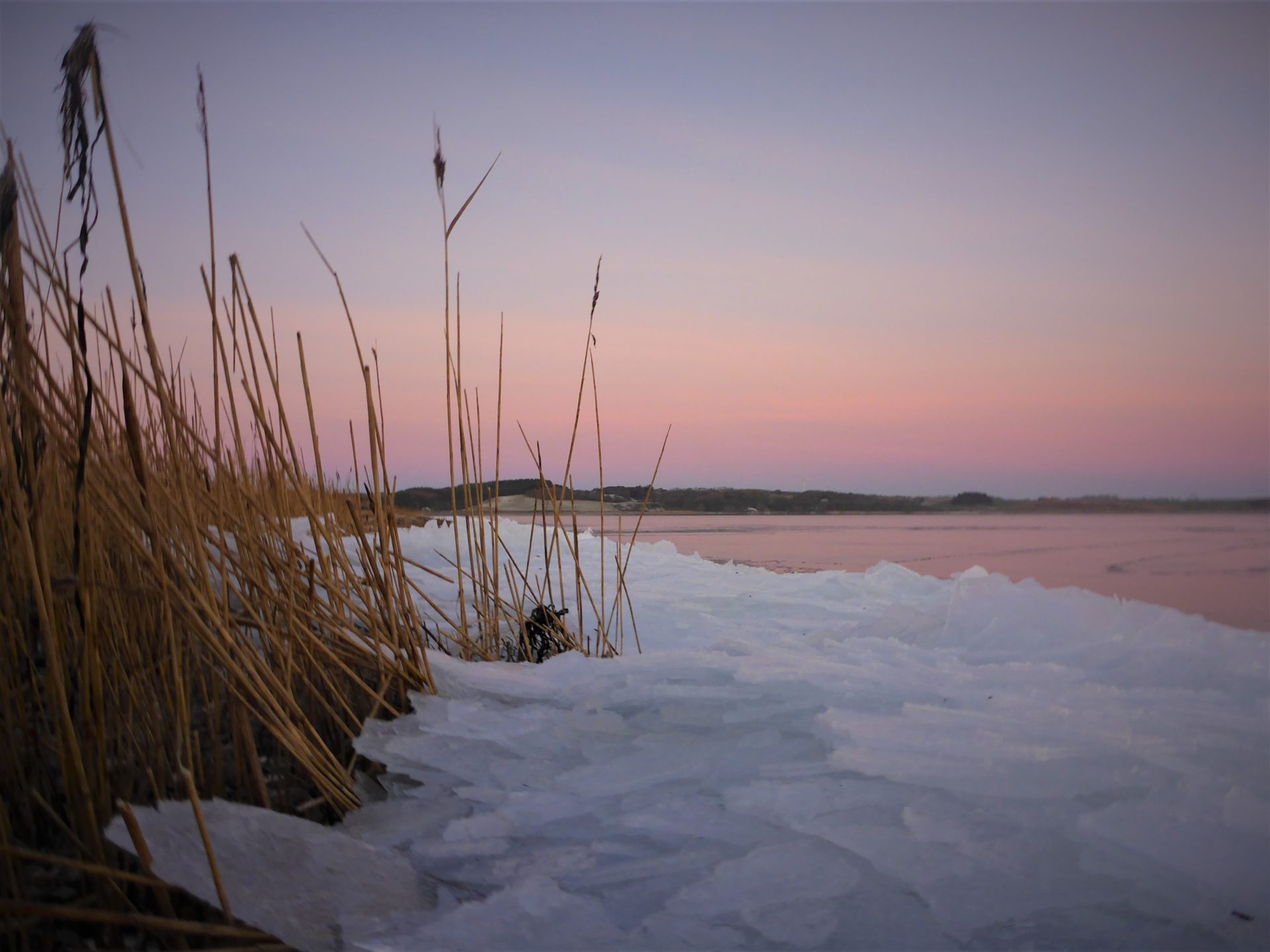 Vinteren ved Limfjorden og lystfiskeri