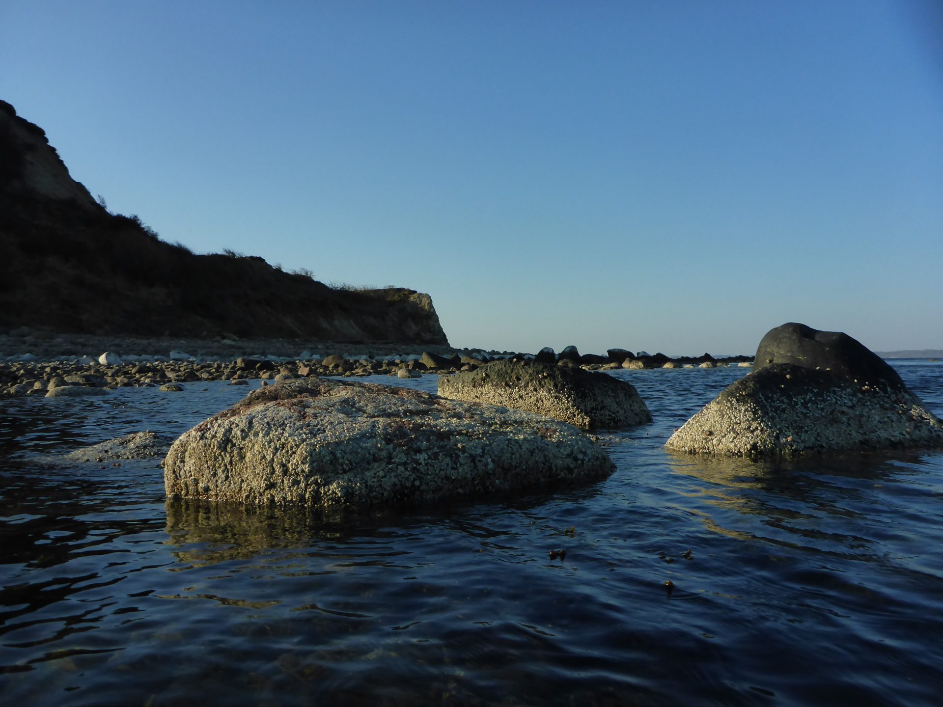 Ertebølle Hoved er en sublim fiskeplads i sommerhalvåret.