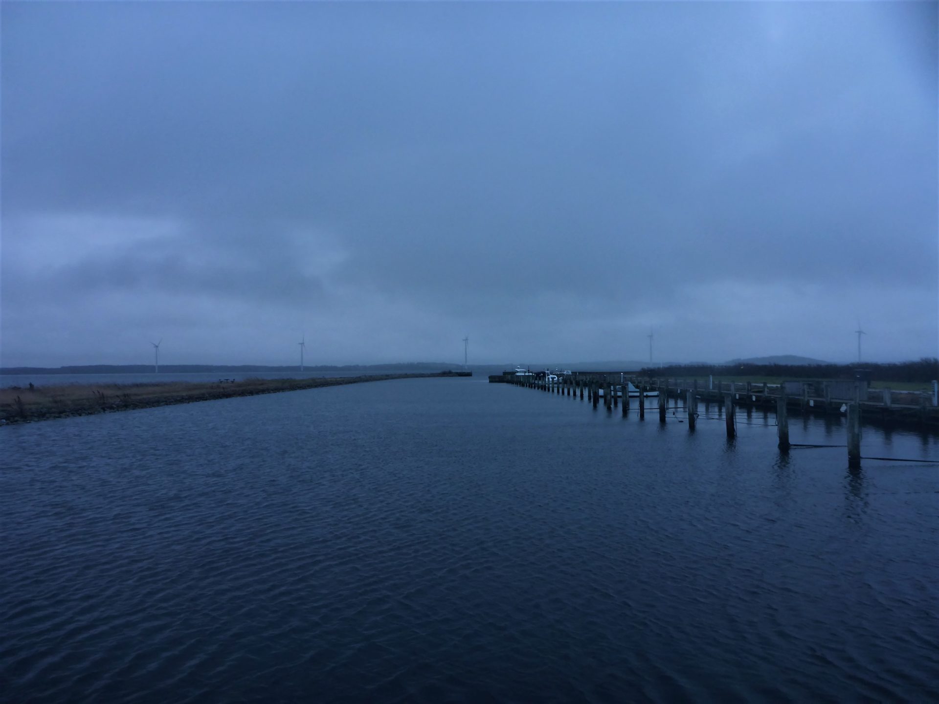 Haverslev Havn er et godt sted til fangst af havørred og multe i Limfjorden.