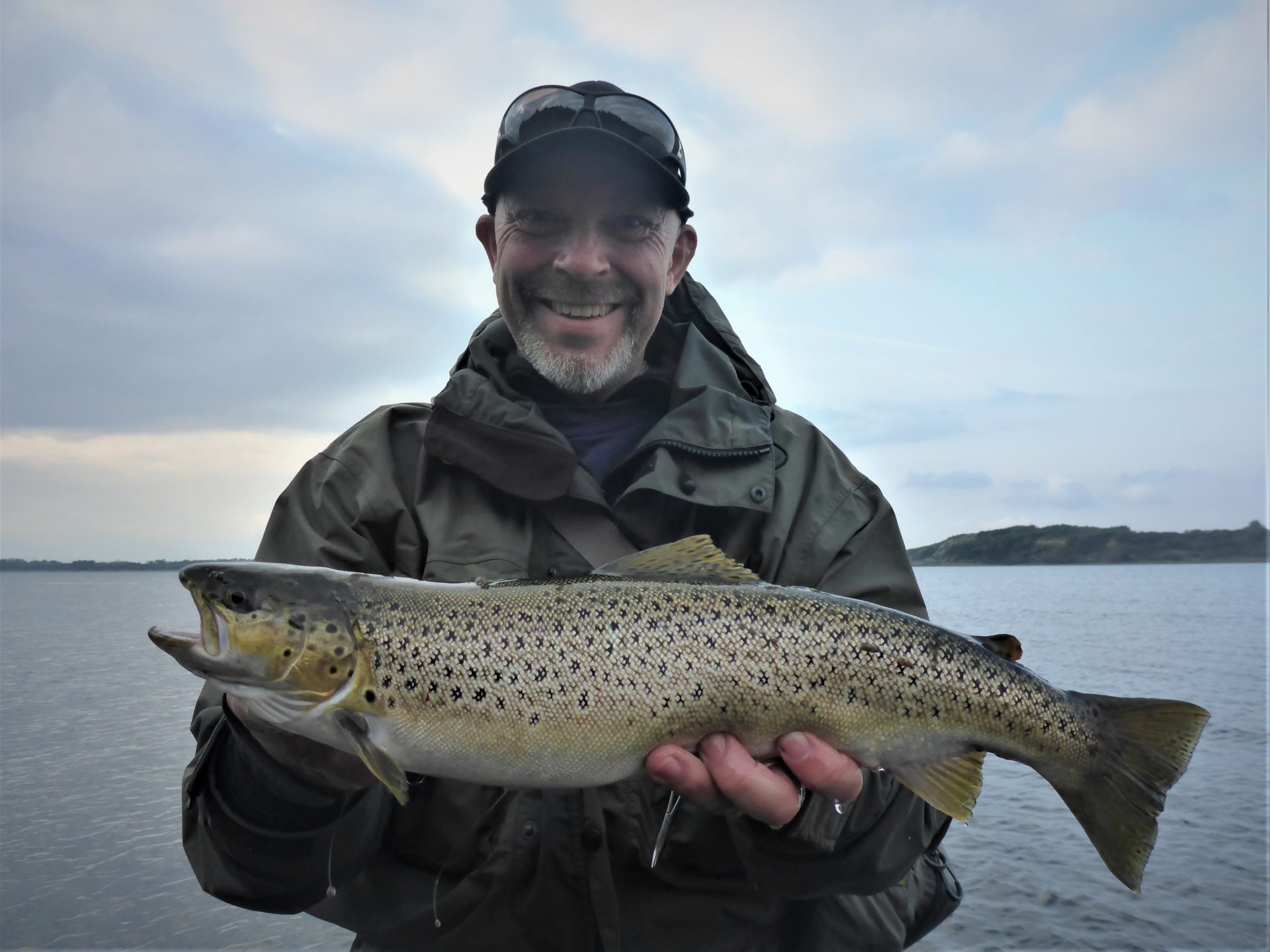 Man kan fange havørreder i Harre Vig i Limfjorden.