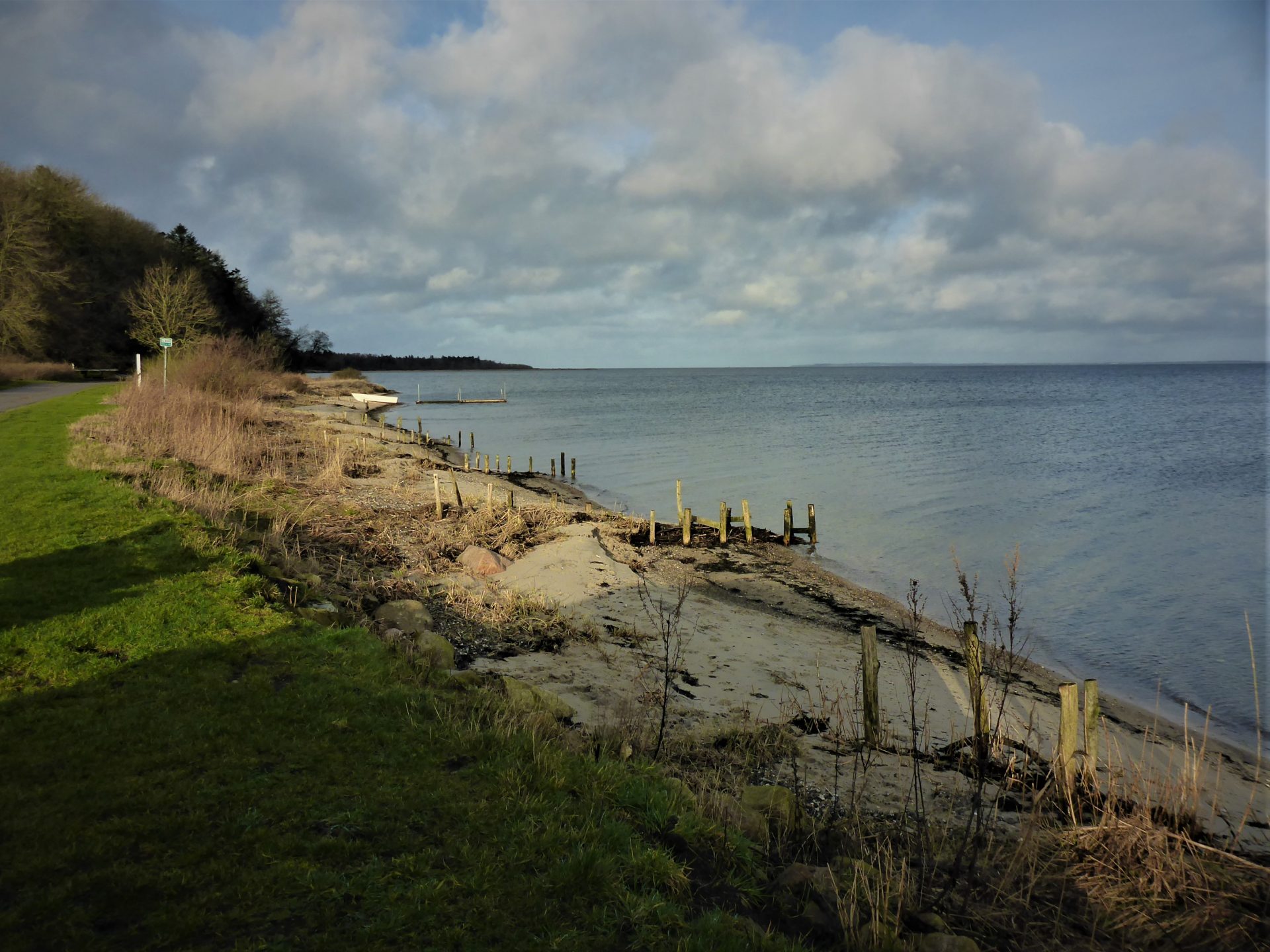 Junget Strand er en af de bedre fiskepladser i Limfjorden.