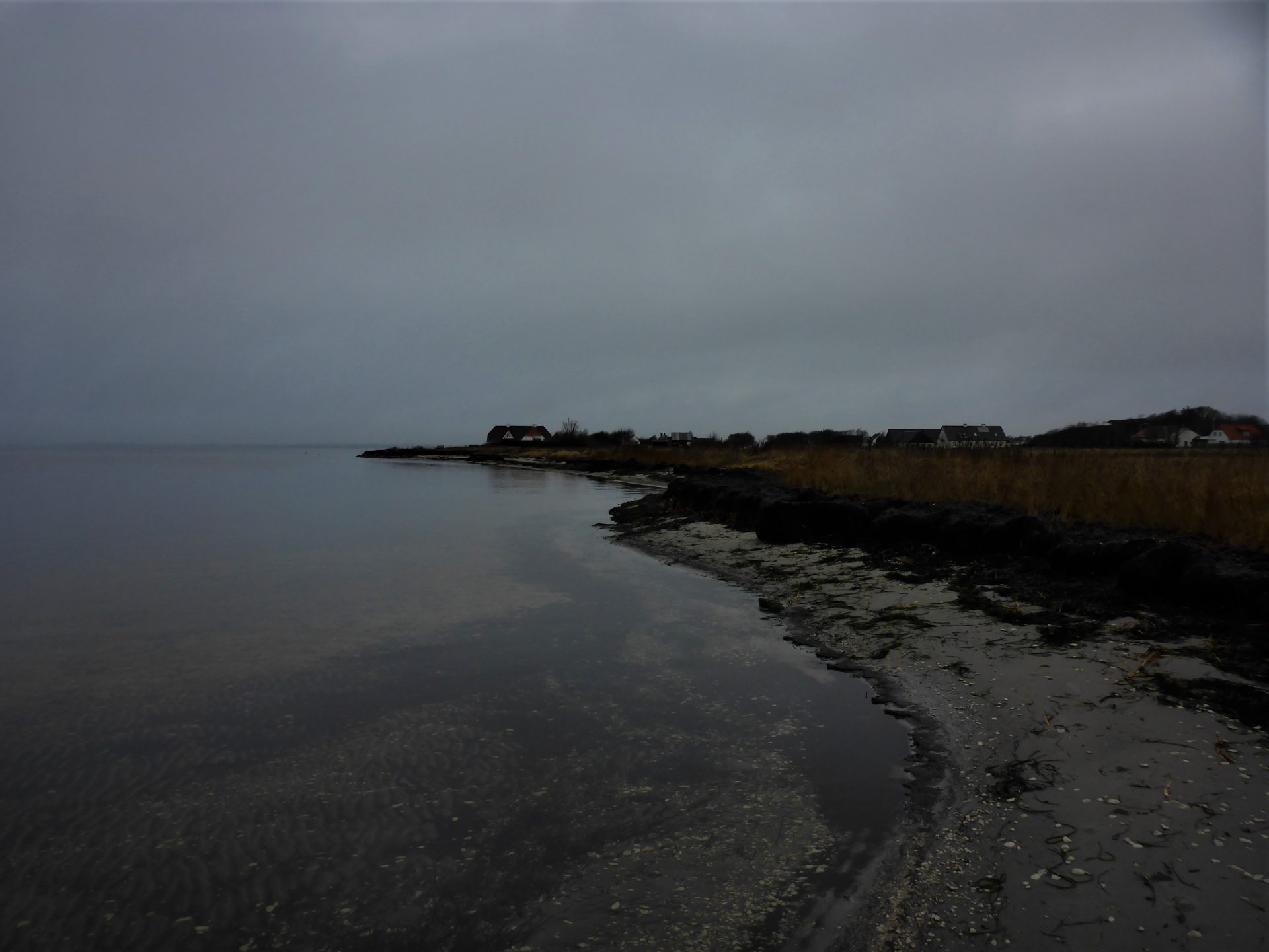 Klitgårds Fiskerleje er en spændende fiskeplads nær Nibe, til lystfiskeri efter havørred i Limfjorden.