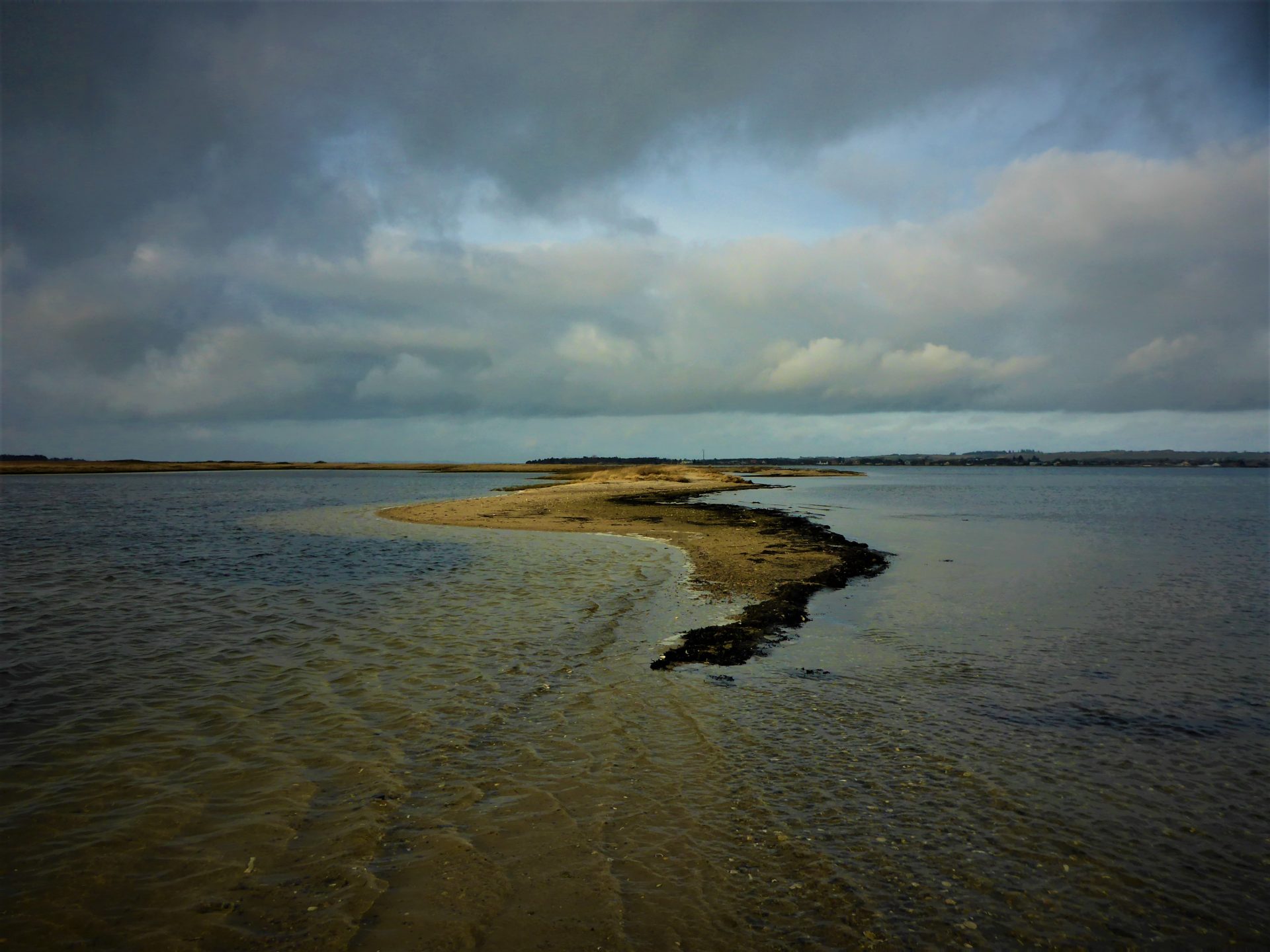 Selde Vig i Limfjorden er ne god fiskeplads til fangst af havørred.