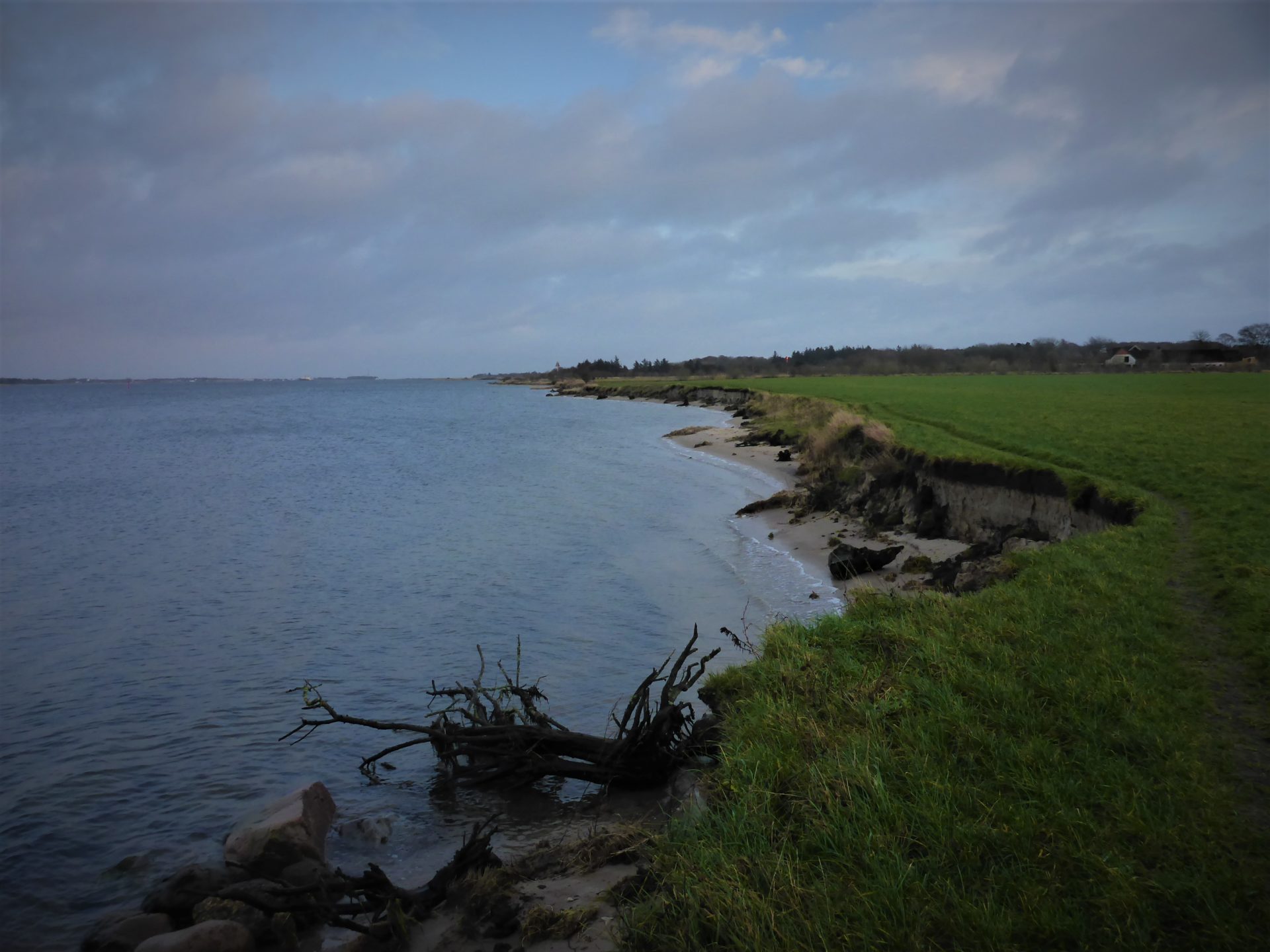 Stjernen er en fiskeplads i sydøst, til fangst af havørred i Limfjorden.