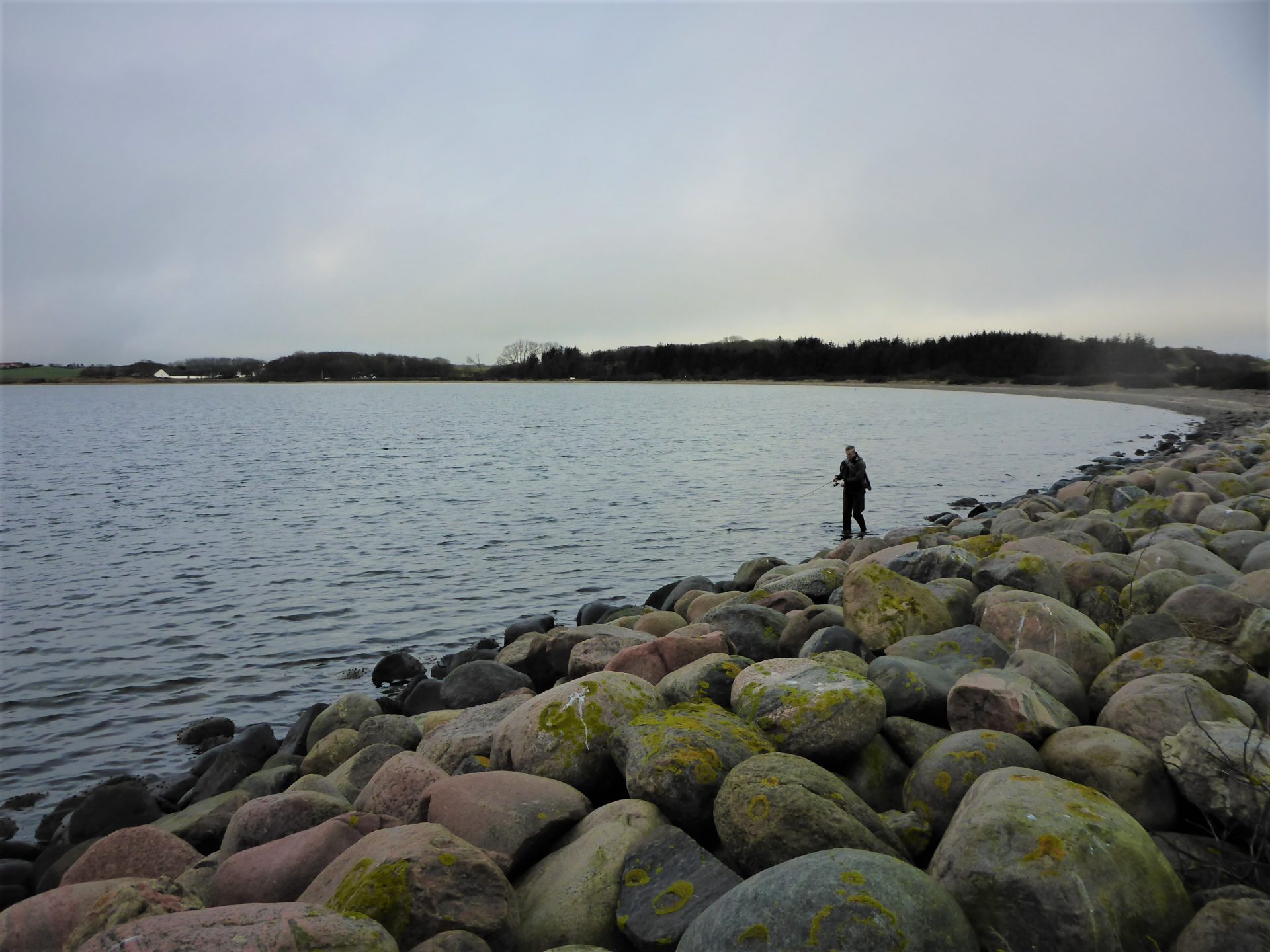 Kleppen er en fiskeplads i Limfjorden til fangst af havørred.