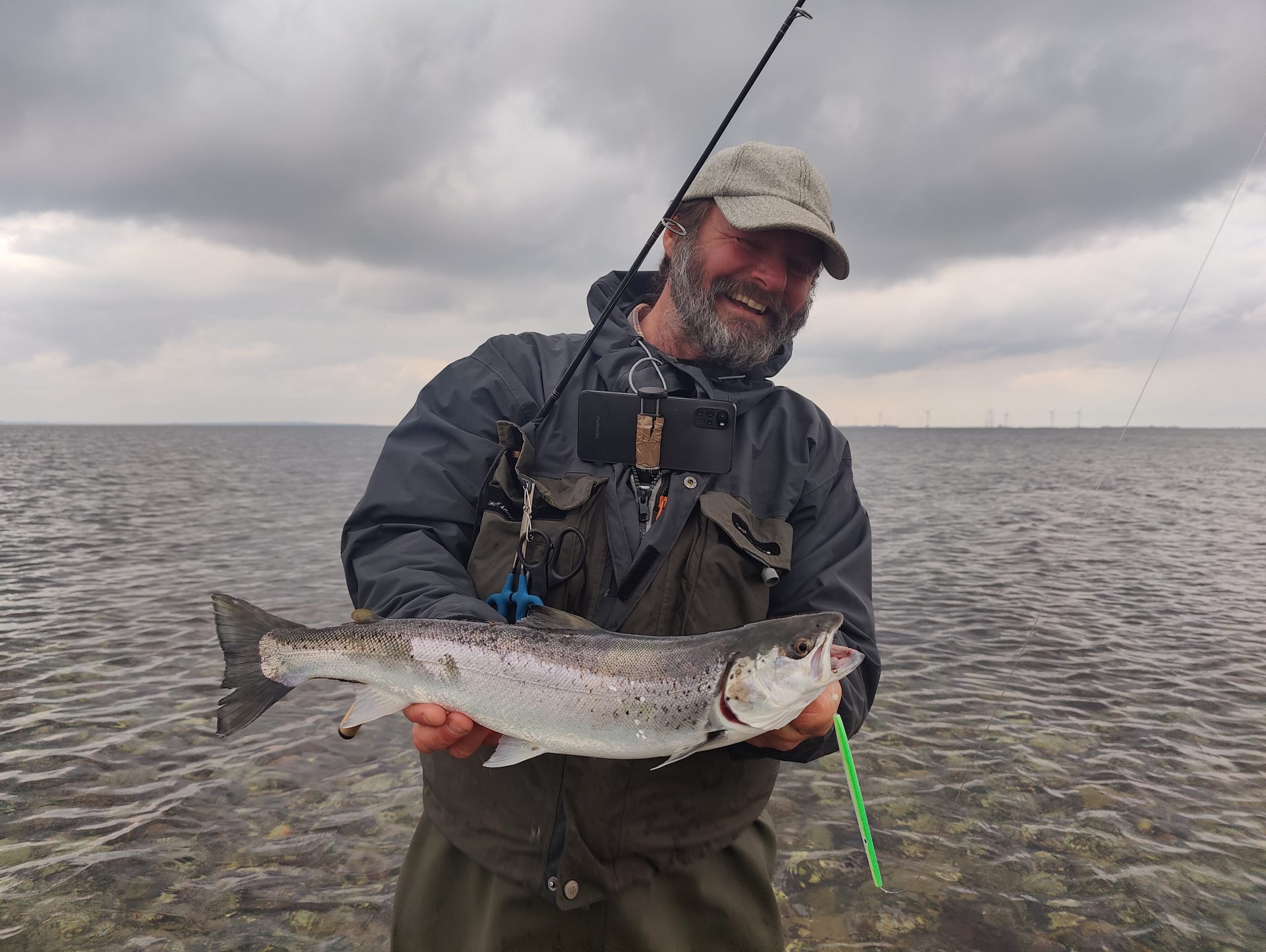 En havørred fanget ved Røjensø Odde under lystfiskeri i Limfjorden.