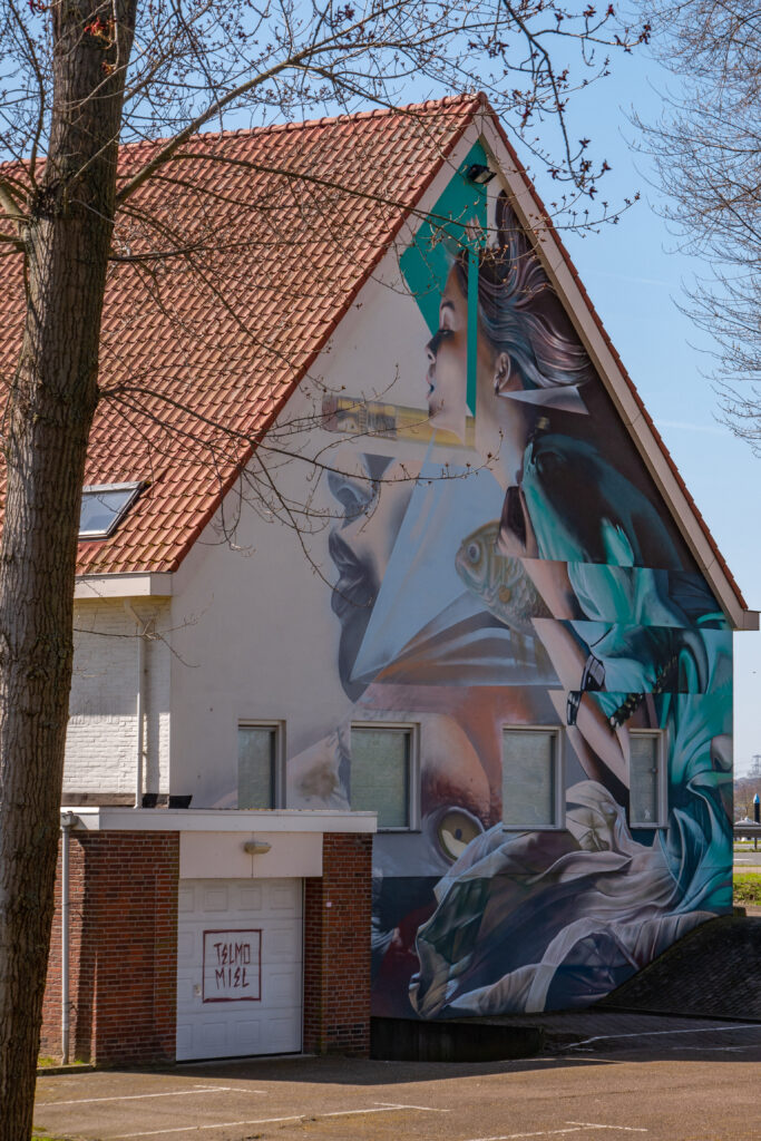 Rob's mural – In opdracht werk van Telmo Pieper & Miel Krutzmann aka TelmoMiel. Both are artist from Rotterdam and have a Gallery Sober Collection