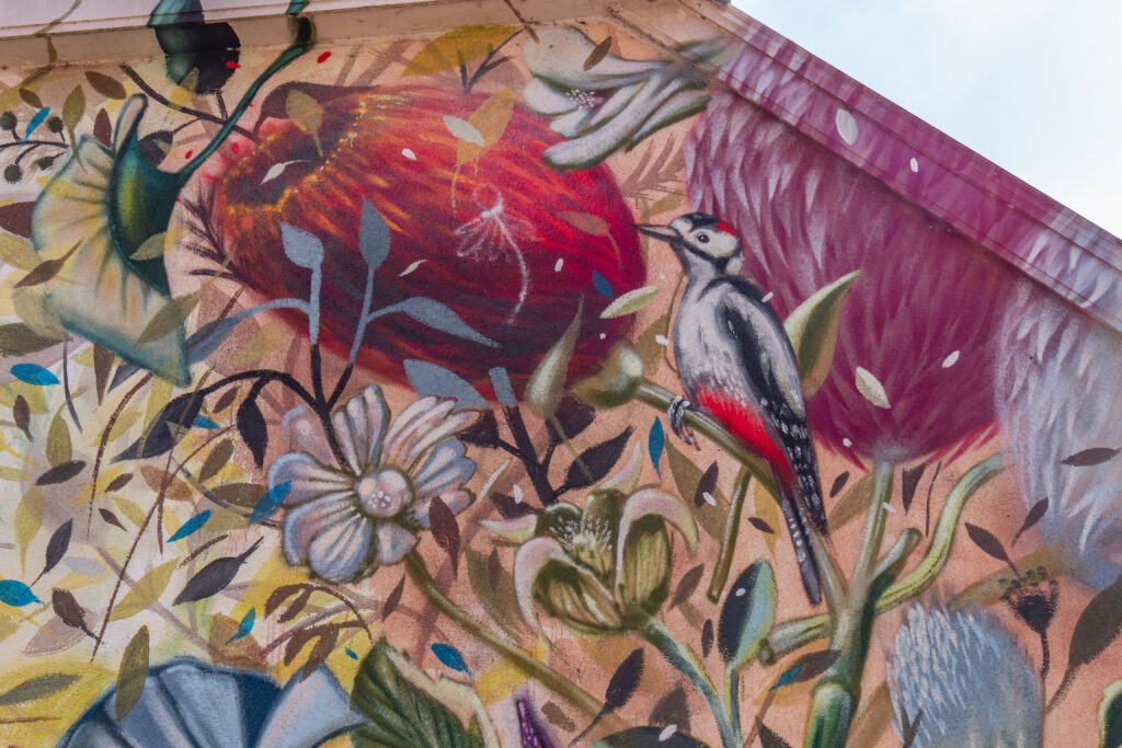 Collin is een internationale mural-artist die geobsedeerd is door stillevens van grote meesters. Zelfs de werken die balanceren tussen kunst en kitsch vind hij fascinerend.Collin heeft een duidelijke handschrift, zowel in zijn vrije werk als in de muren zie je een gelaagdheid in zijn schildertechniek. Hij speelt graag met natuurlijke elementen en zo zien we zijn vogels regelmatig terug in zn murals. Thema's die je ook terugziet in onze natuurrijke omgeving!