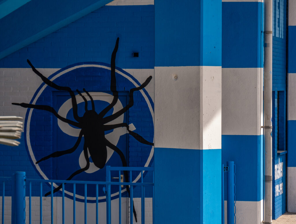 Brigata Tifosi hebben de grijze buitenkant van het stadion blauw-wit gekleurd. Betonnen palen en saai houtwerk vanaf Groenendaal tot aan de Spinnekop zijn nu strak geverfd, over de complete lengte van de Roodbergentribune. Ook is een aantal bijzondere muurschilderingen aangebracht.