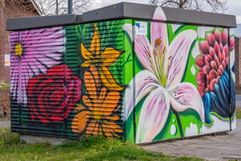 Rosalie onlangs met de jongeren van Jongerencentrum  0313 al een saai transformatorhuisje omtoverde in een waar kunstwerk