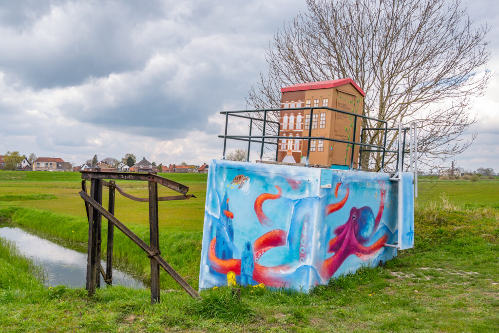 Een grote octopus die de kubus als het ware omklemt. Er zitten ook Zutphense dingen in de schildering, zoals de Drogenapstoren. Een smeltend ijsblok betekent bovendien water en dat past hier goed in het landschap.