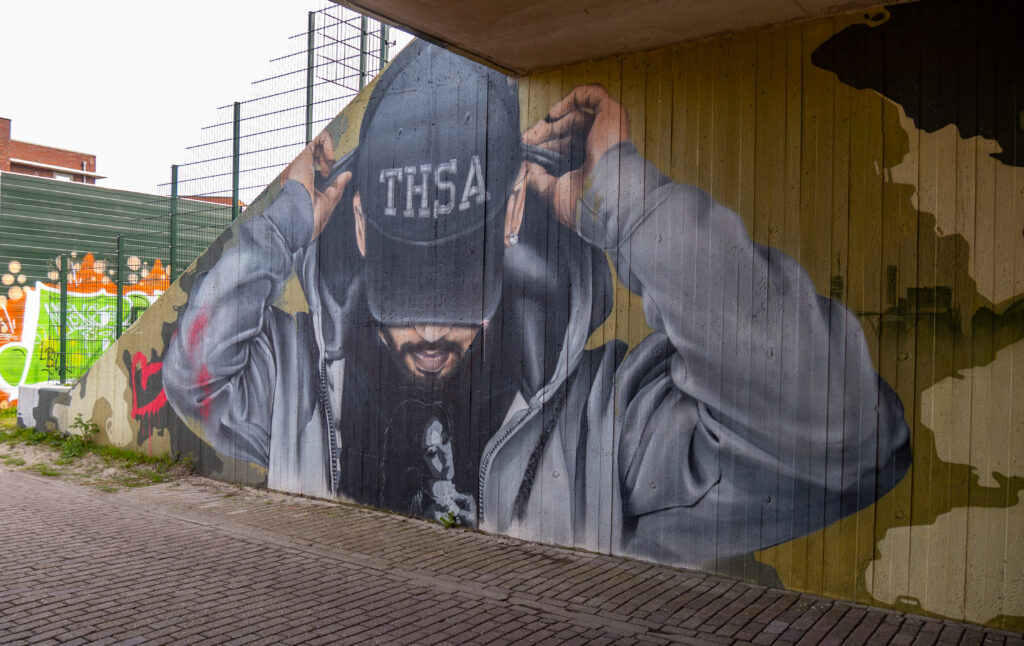 De boog maakt de verbinding van Den Haag Centraal naar Leiden Centraal en Schiphol mogelijk. Er kwam vanuit het stadsdeel en de buurtbewoners de vraag of er iets met Street Art in de Schipholboog gemaakt kon worden. 
En als kleine verrassing is de Kabouter uit Utrecht ook nog stiekem om de hoek komen kijken.