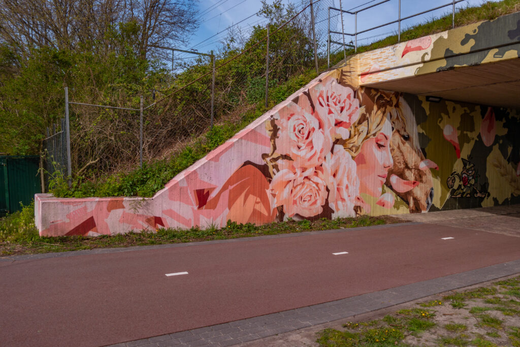 De boog maakt de verbinding van Den Haag Centraal naar Leiden Centraal en Schiphol mogelijk. Er kwam vanuit het stadsdeel en de buurtbewoners de vraag of er iets met Street Art in de Schipholboog gemaakt kon worden. 
En als kleine verrassing is de Kabouter uit Utrecht ook nog stiekem om de hoek komen kijken.