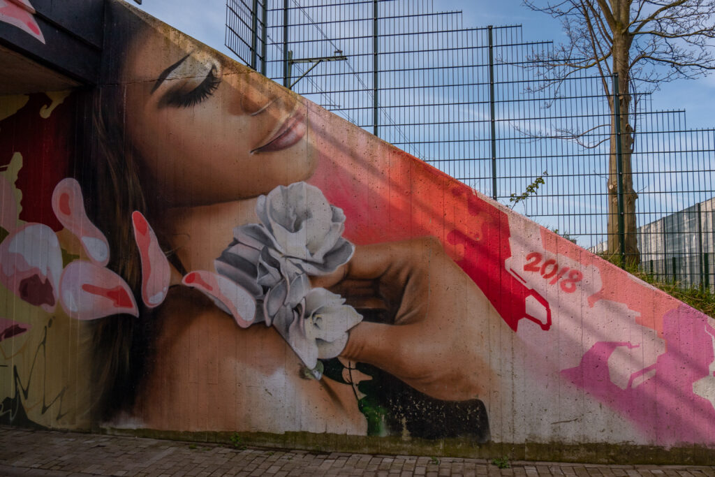 De boog maakt de verbinding van Den Haag Centraal naar Leiden Centraal en Schiphol mogelijk. Er kwam vanuit het stadsdeel en de buurtbewoners de vraag of er iets met Street Art in de Schipholboog gemaakt kon worden. 
En als kleine verrassing is de Kabouter uit Utrecht ook nog stiekem om de hoek komen kijken.