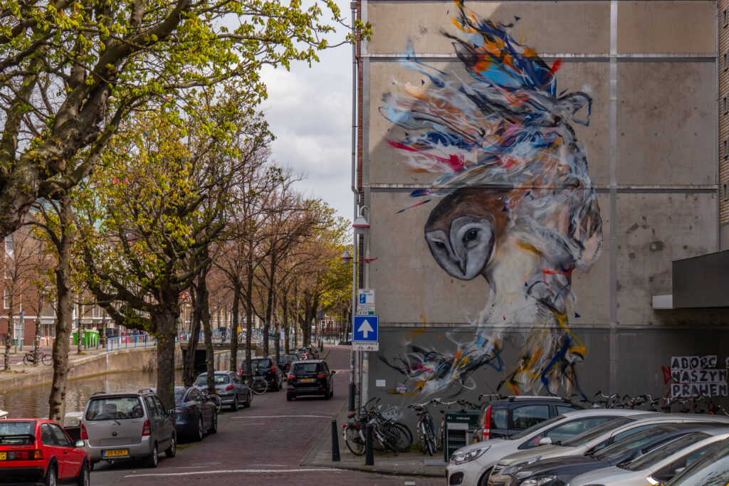 Het is een werk waarbij gedempte en heldere kleuren samenkomen. De kop van de uil heeft de originele, sombere tinten van het dier terwijl de vleugels en de klauwen juist een explosie van kleur zijn.
Het merendeel van zijn werken bestaat uit kleurrijke tropische vogels, dus de kerkuil (met haar sombere kleuren) was een nieuwe uitdaging voor de kunstenaar. De keuze voor een uil is een verwijzing naar de ‘Uilebomen’, de naam van de straat aan de overkant.
L7Matrix experimenteert niet alleen met zijn spuitbussen, maar ook met zijn overige materialen: hij plakt bijvoorbeeld verschillende kwasten aan elkaar en mengt ter plekke zijn kleuren. Hij bevindt zich hierdoor in de twilight zone tussen de moderne kunstschilder en de andere graffiti-artiesten.