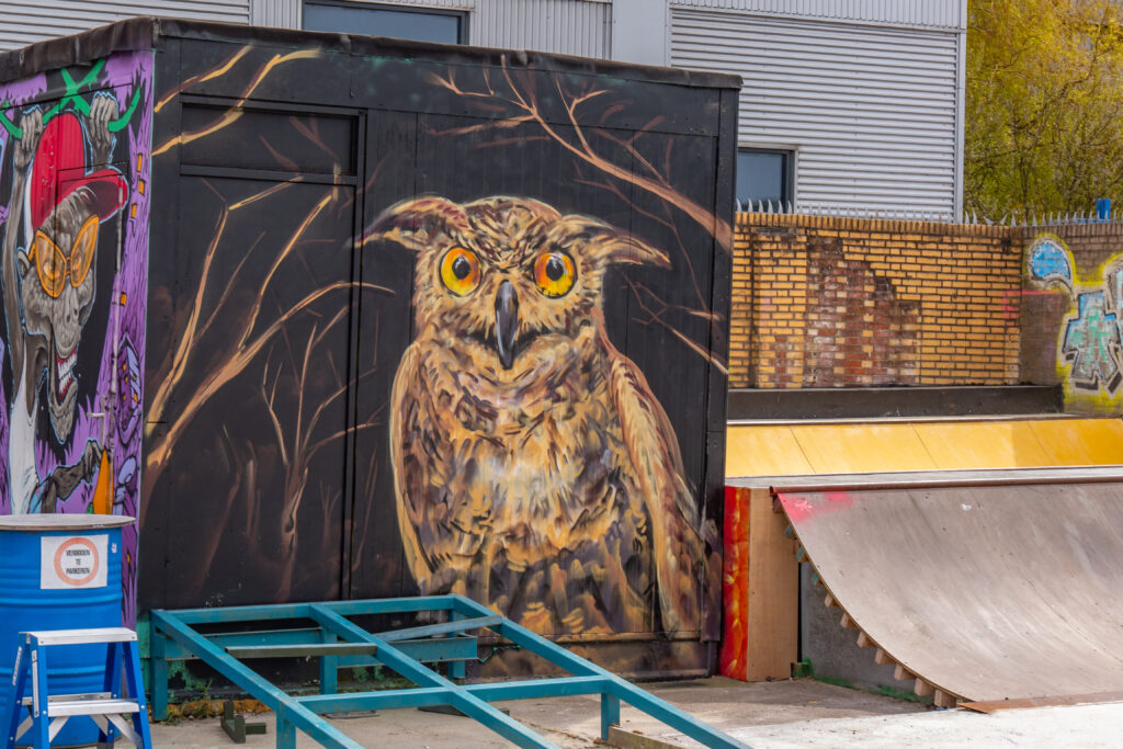 Planet Binck is een muur van 50 meter lang met een bonte variatie aan Street Art. Het thema van de muur is de toekomst van de Binckhorst. Ringo Mollinger (Ringo_1984), Erwin Verkade, Serge Kortenbroek (Serge Kb) en SogoShow werken gezamenlijk aan de muur. Haan en kippen scharrelen op de Binckhorst