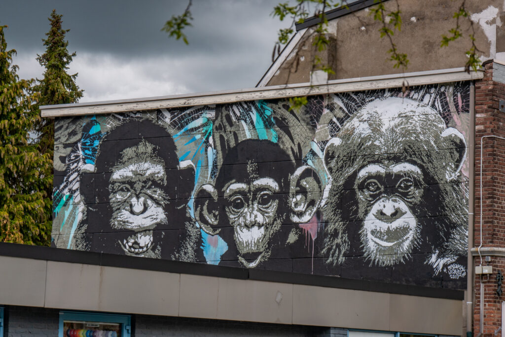 Jungle Fever
met de sprekende karaktervolle koppen die je rechtstreeks aankijken zijn bedoeld je aan te spreken. Niet alleen om een reactie op te wekken, maar om je te doordringen wat de mens doet met de natuur. Deze chimpansees hebben bijna hetzelfde DNA als die van de mens, maar zijn overgeleverd aan de handelende mens om hun leefgebied te behouden.