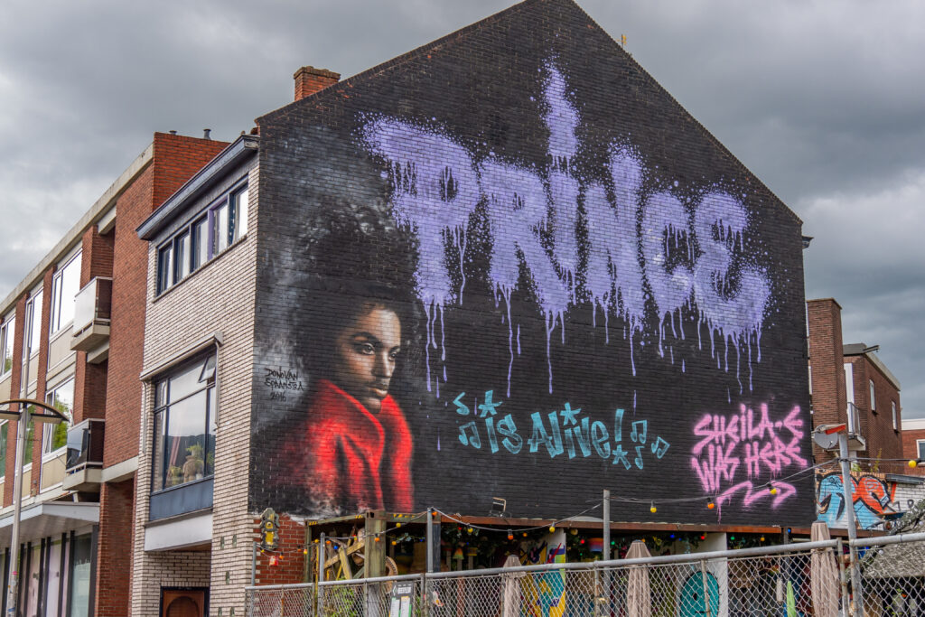 Tijdens het maken van dit kunstwerk was Prince net overleden en dus een actueel onderwerp. De kleur paars van de letters Prince verwijzen naar het liedje Purple Rain. Het kunstwerk is uit de losse hand geschilderd.