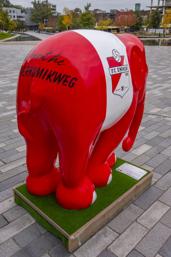 FC Emmen-olifant wordt na 24 oktober geveild in het stadion. De opbrengst is voor het WILDLANDS Natuur en Educatie Fonds.