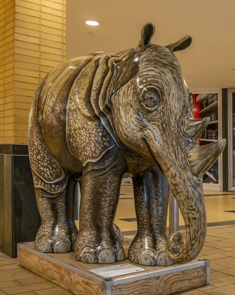 NEUSHOORN
- Thammakit Thamboon
'Rhino' is gemaakt voor Elephant Parade Emmen in 2010. Een van de weinige dieren die kan concurreren met de historische waarde van de olifant is de neushoorn. Deze twee hebben de twee samengevoegd tot deze olifant.