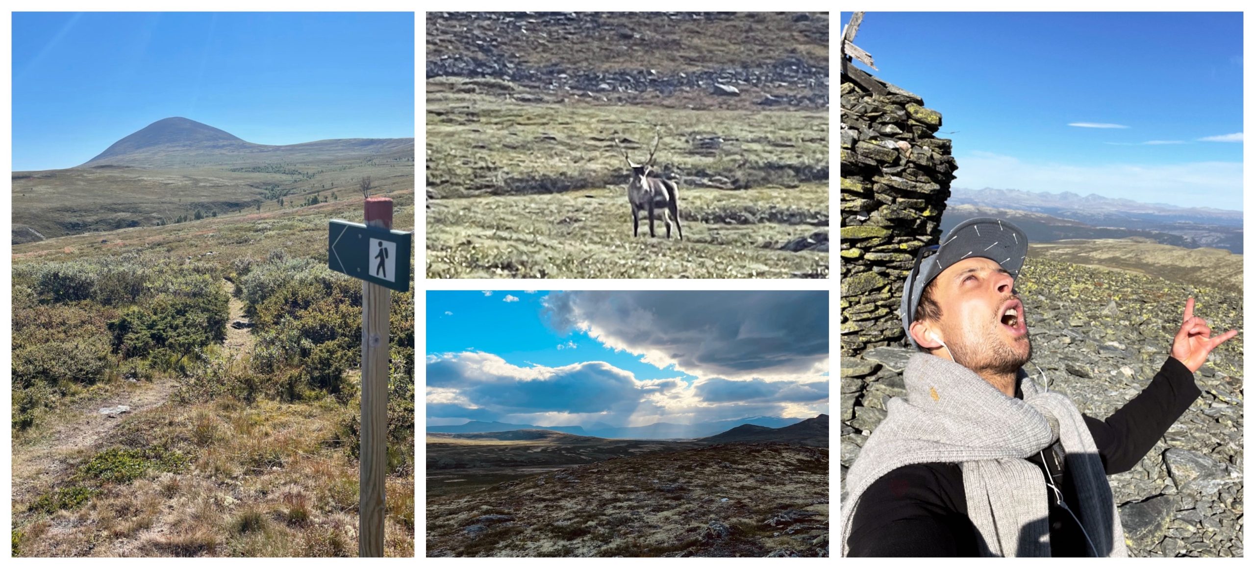 Photo collage from hiking up Heidalsmuen in the Heidal area, Norway